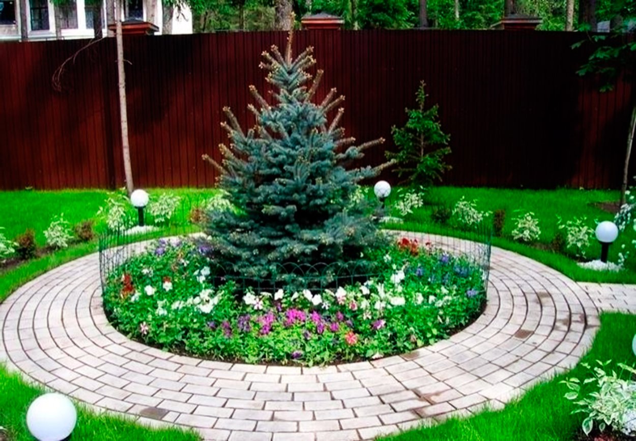 Ландшафт с елками