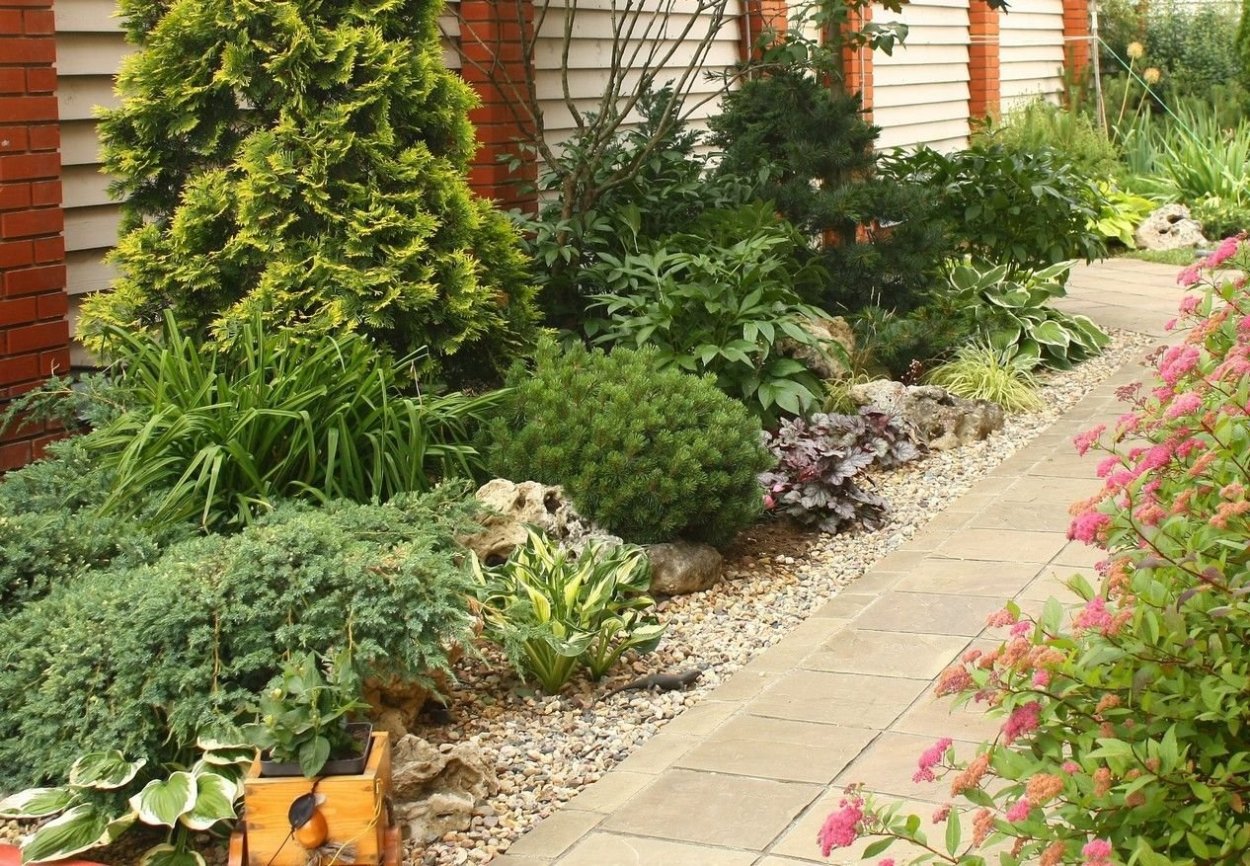 Ель Глаука Перфекта