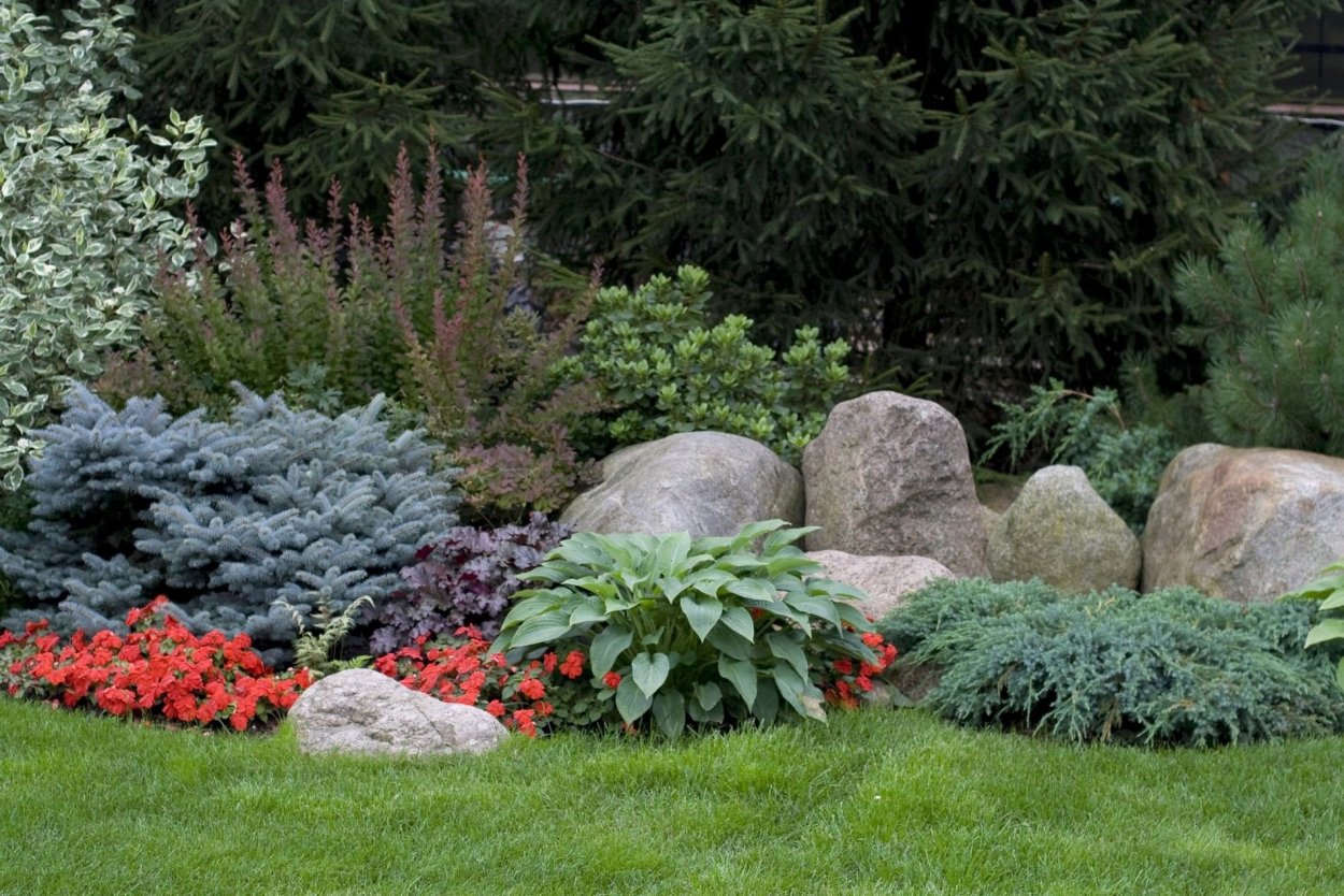 Миксбордер с елью Глаука Глобоза