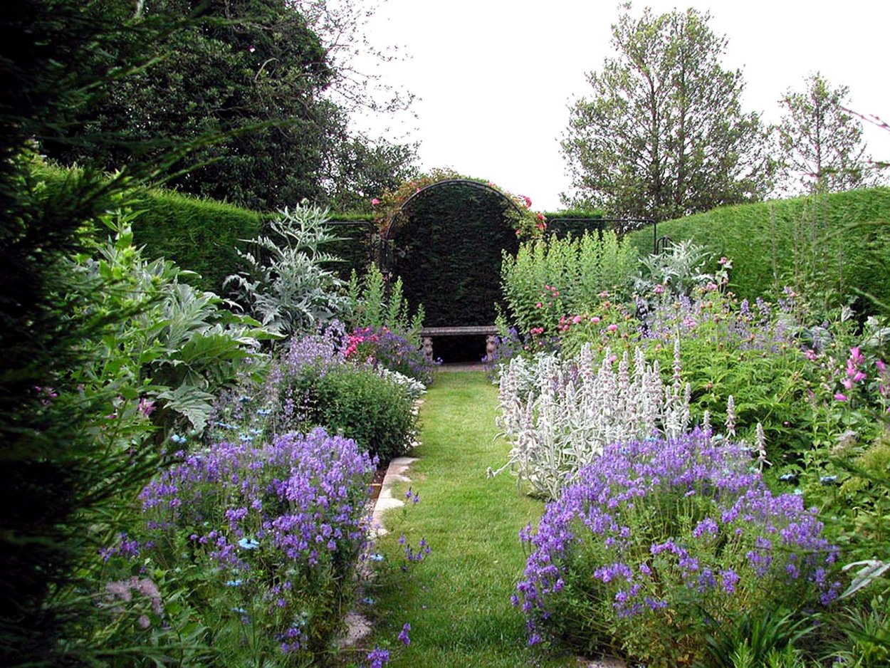 Клематис роза и котовник