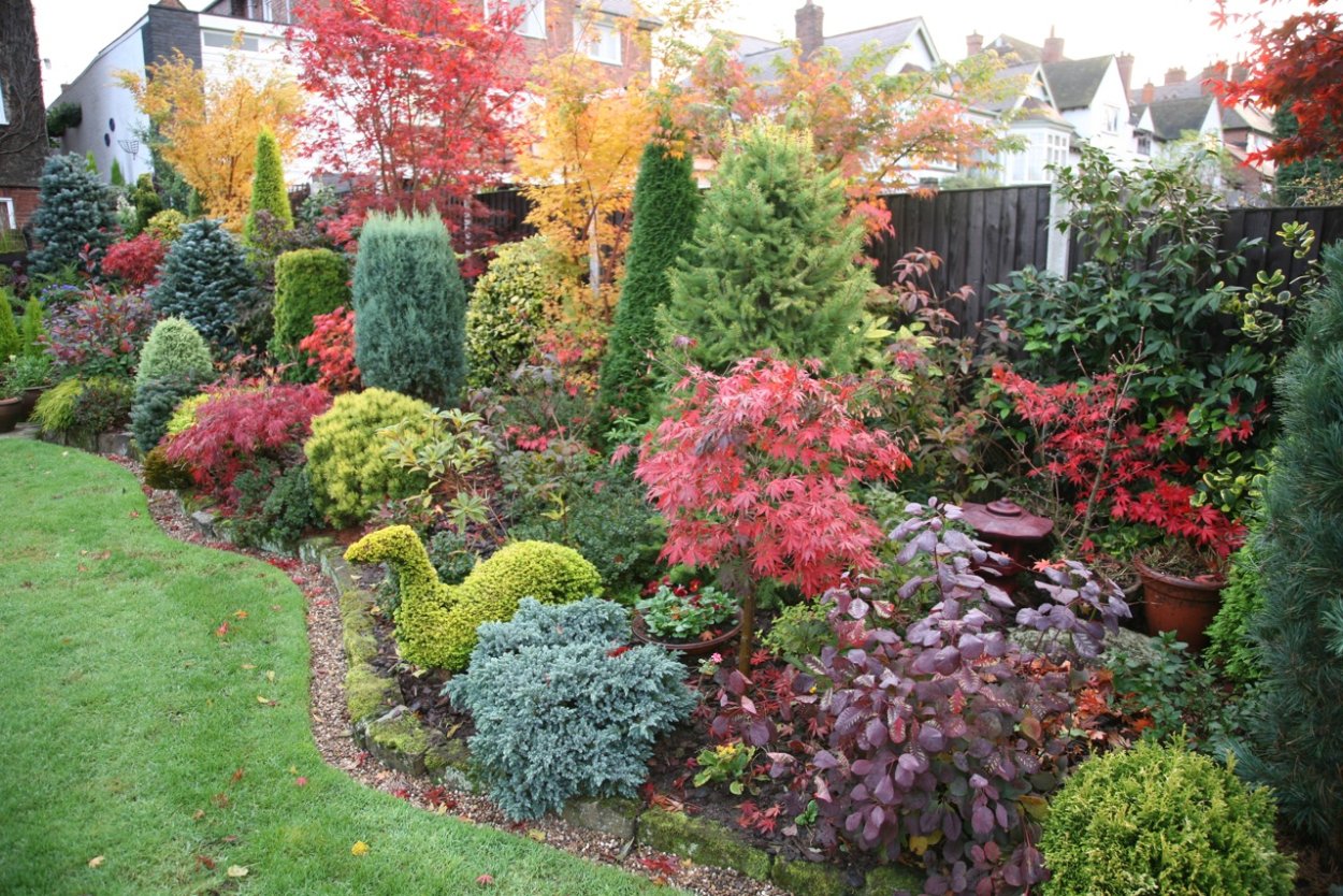 Императа ред Барон