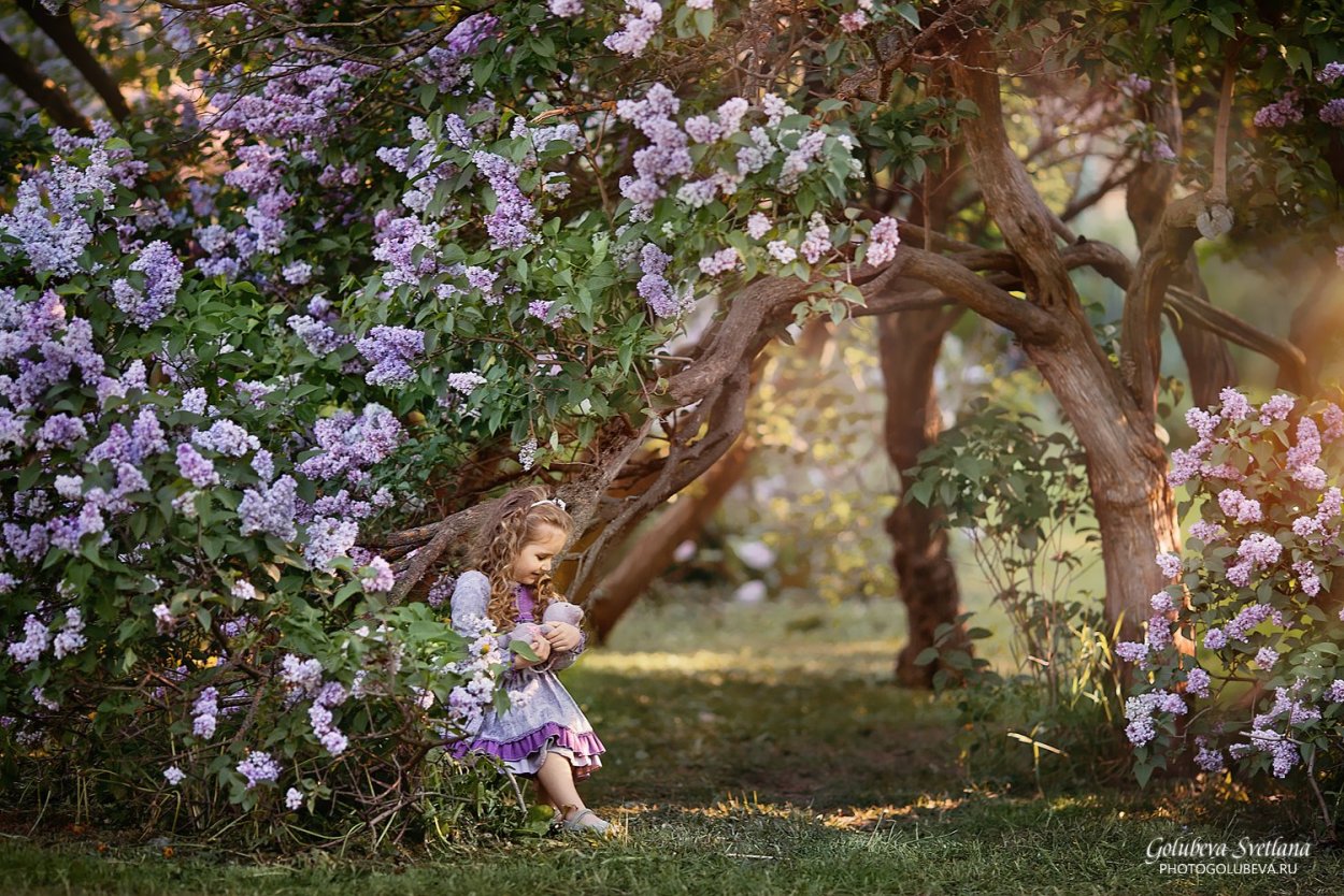 Сирень с неприятным запахом