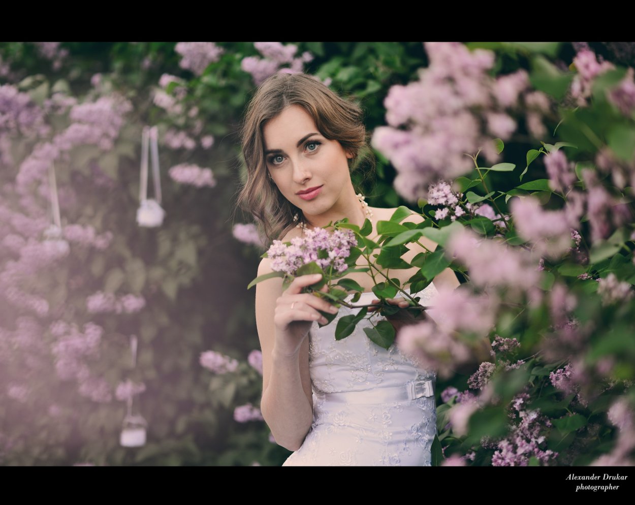 Одинокая ветка сирени исп Шахрай Евгений