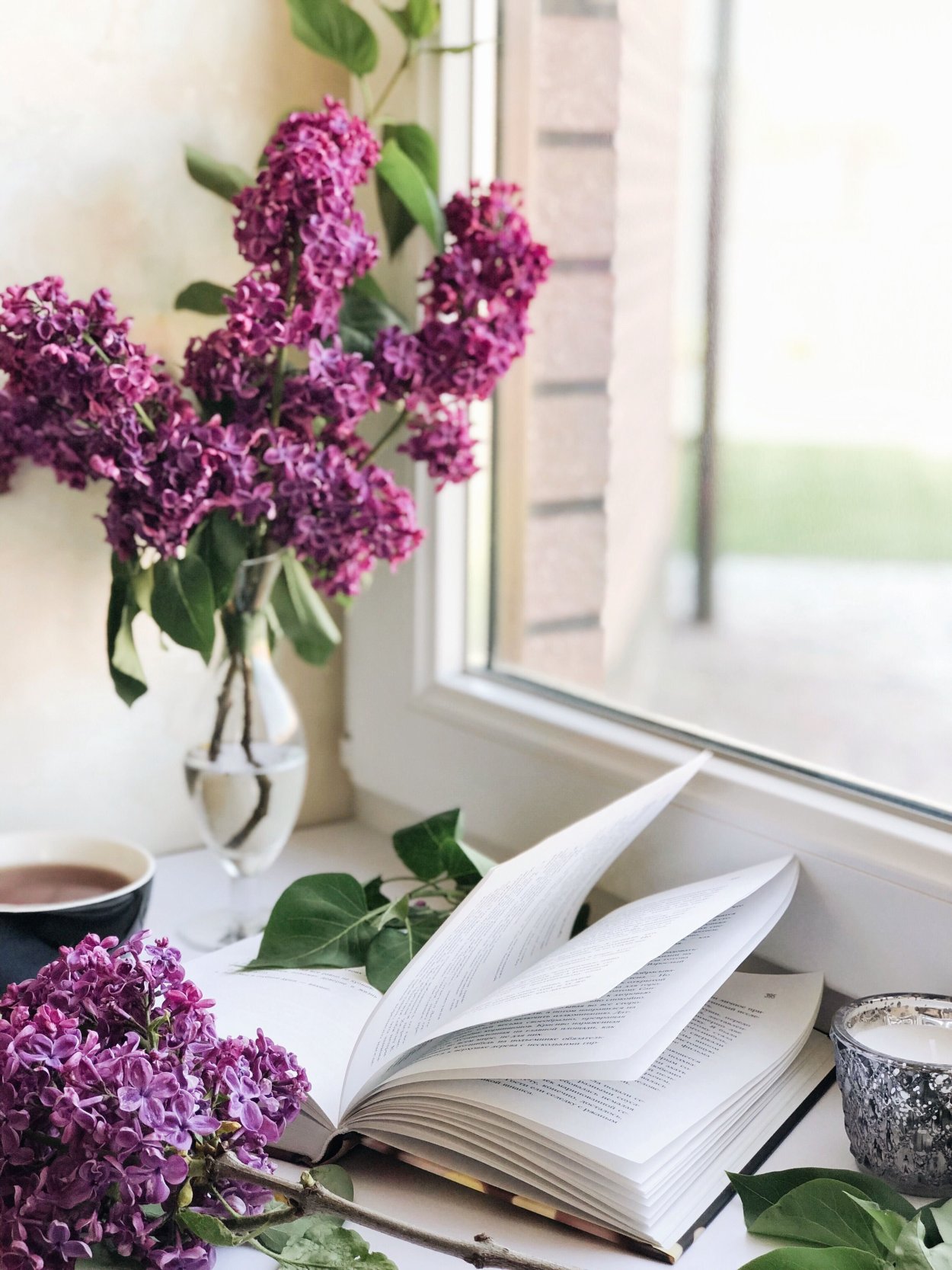 Сирень в ландшафтном дизайне