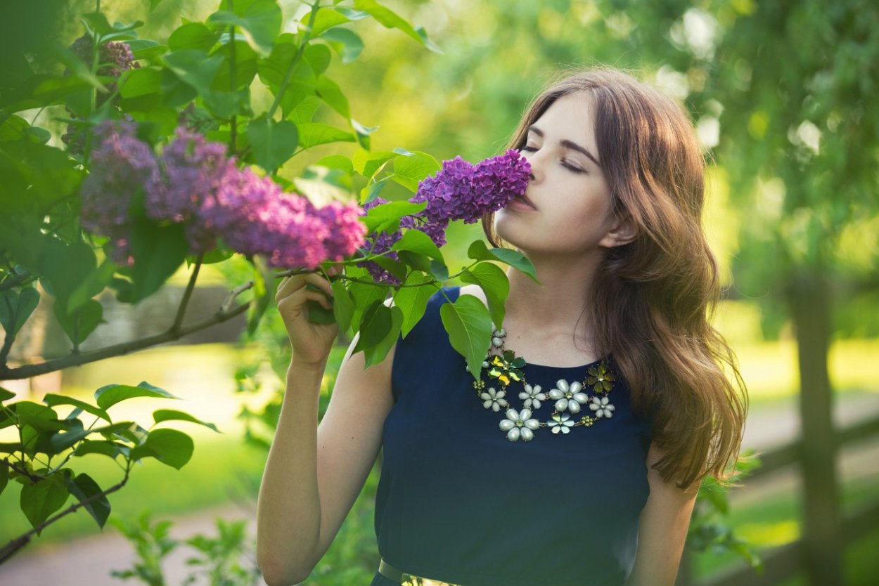 Девушка в кустах сирени