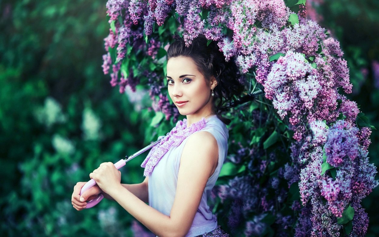 Сирень Lady Lindsay