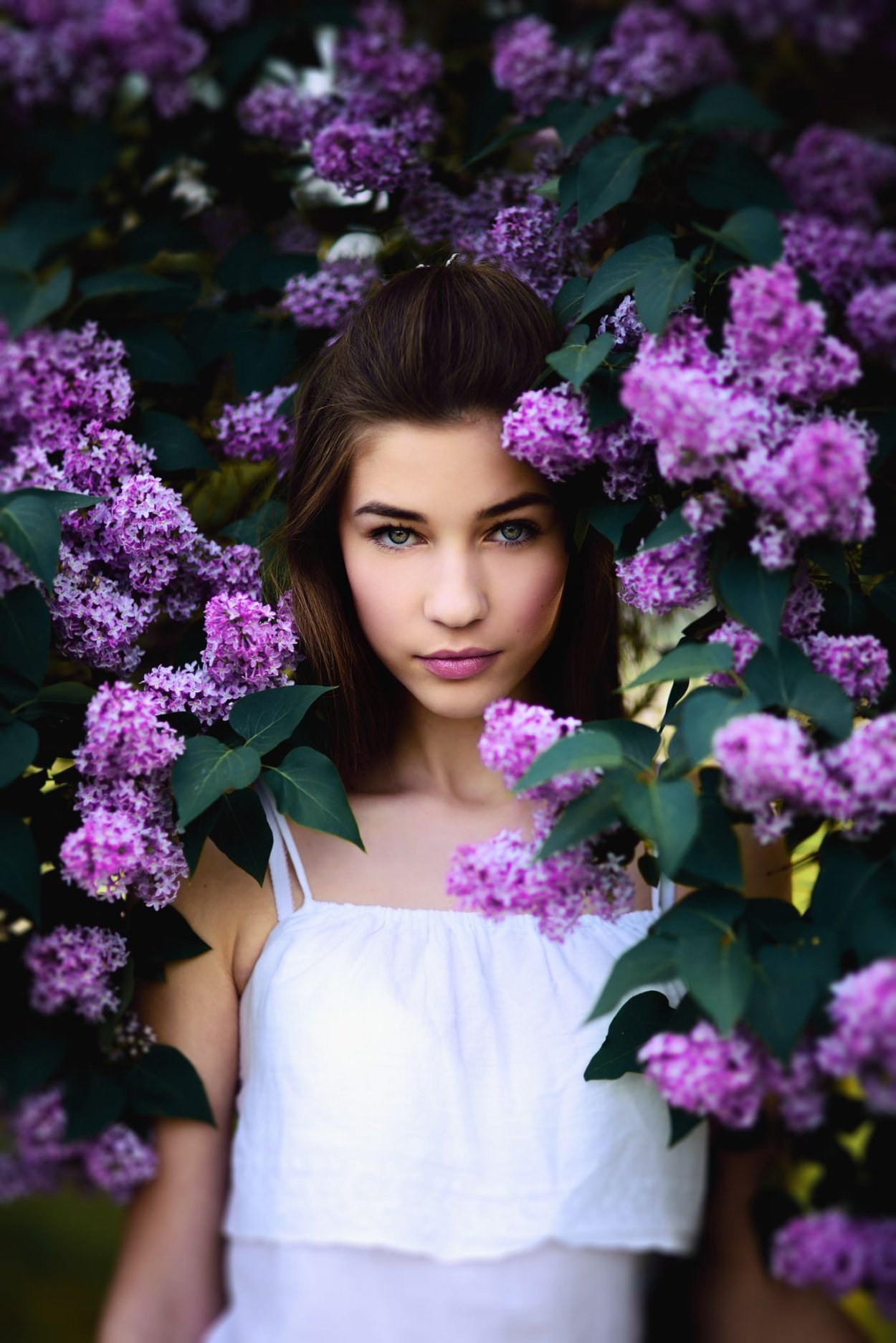 Сирень в лучах солнца