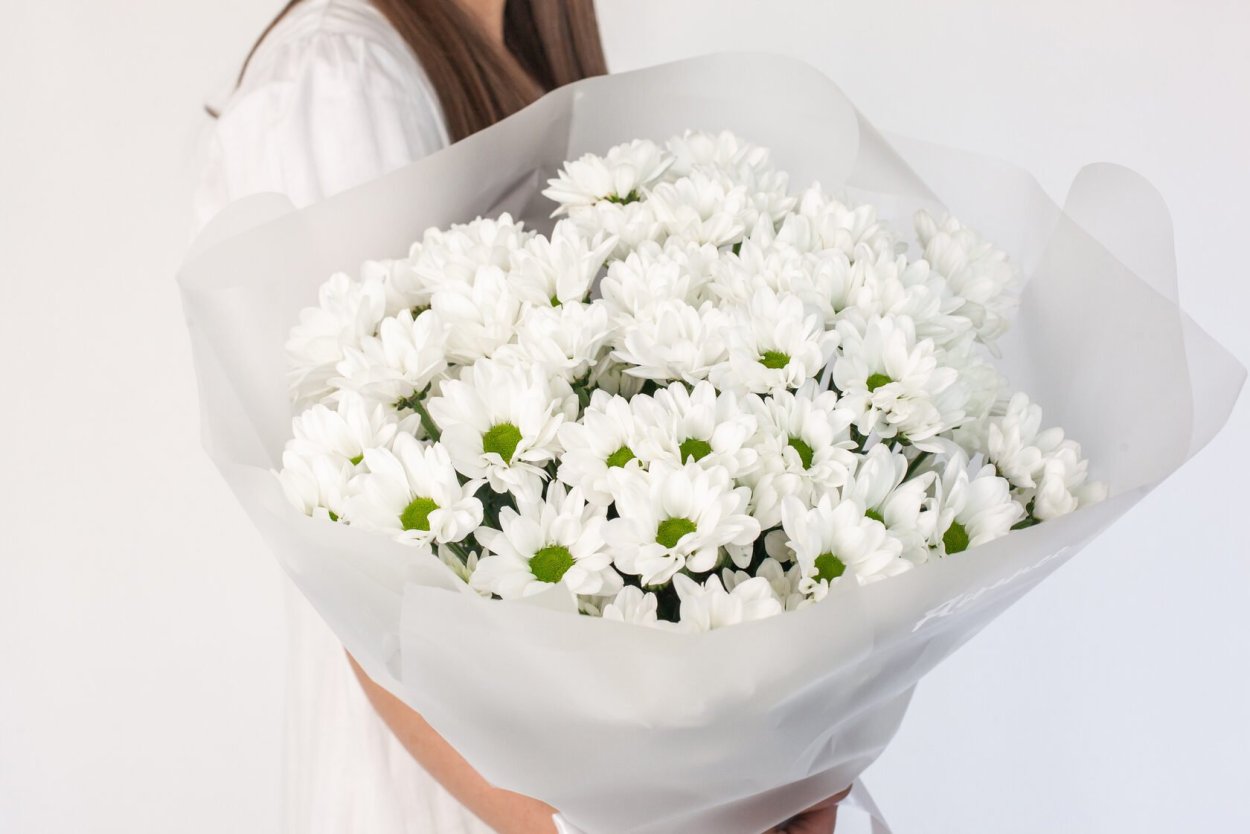 Хризантема Фуджи Роуз