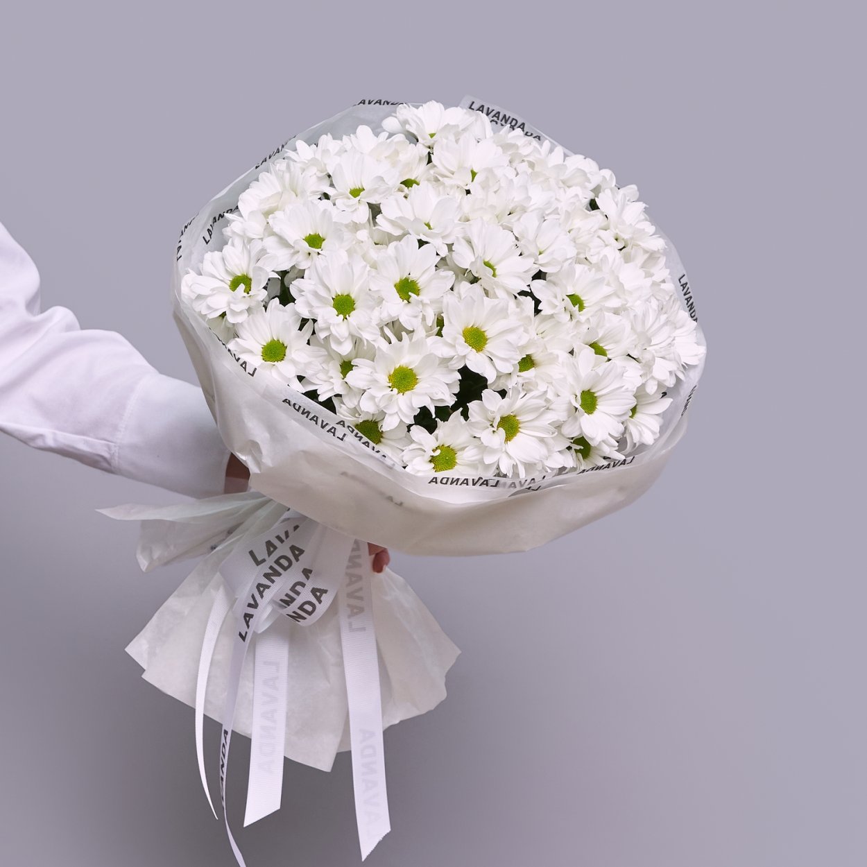 Хризантема одноголовая Ламира