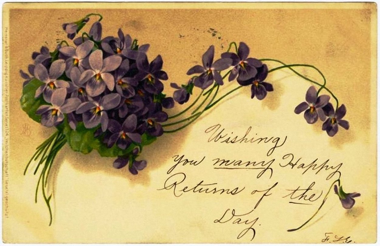 Открытки с фиалками