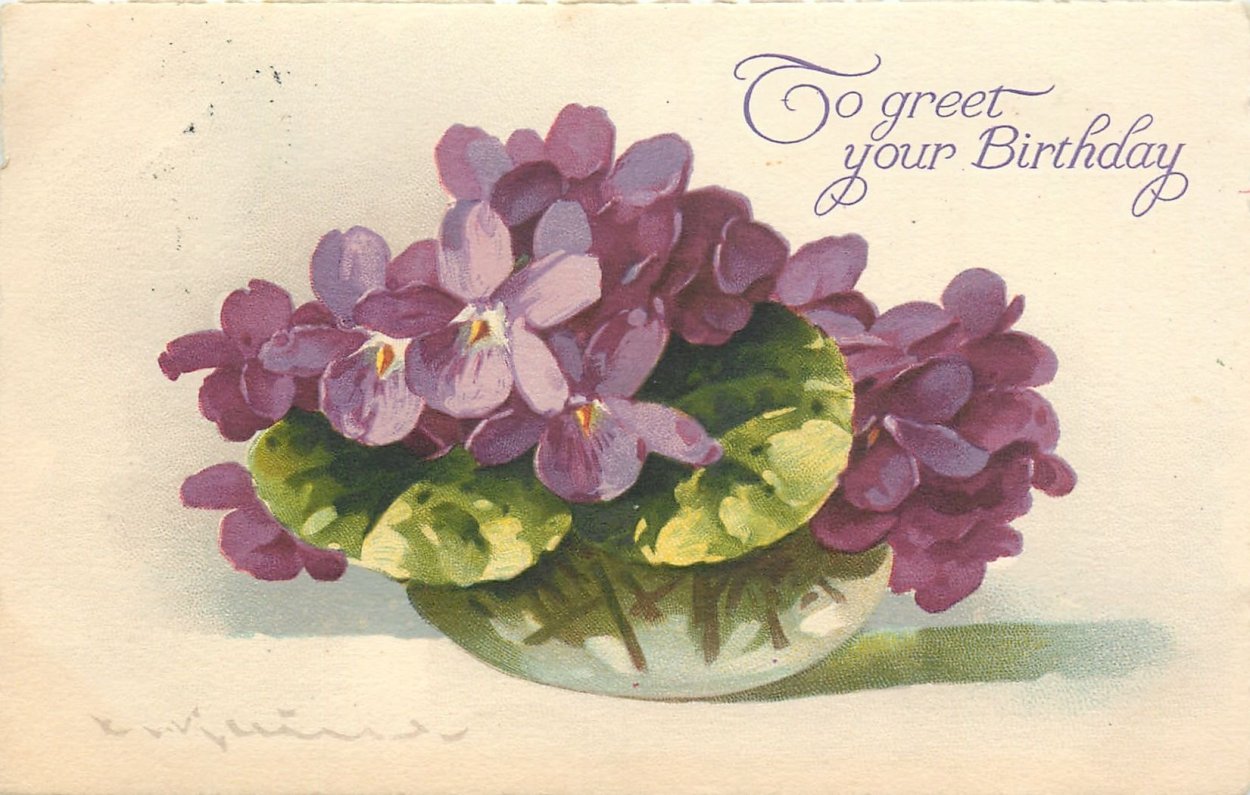 Растения Пармская фиалка