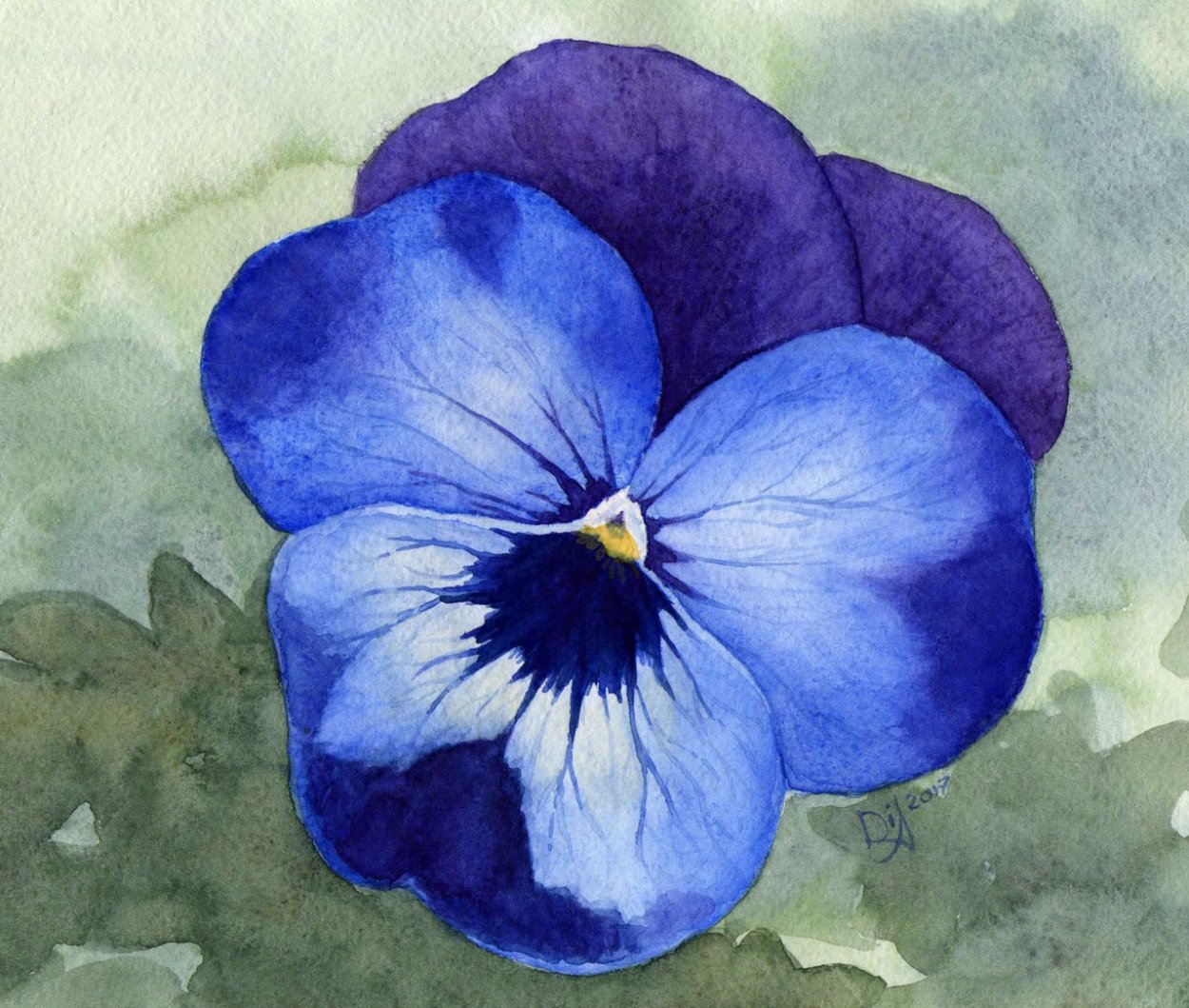 Пармские фиалки