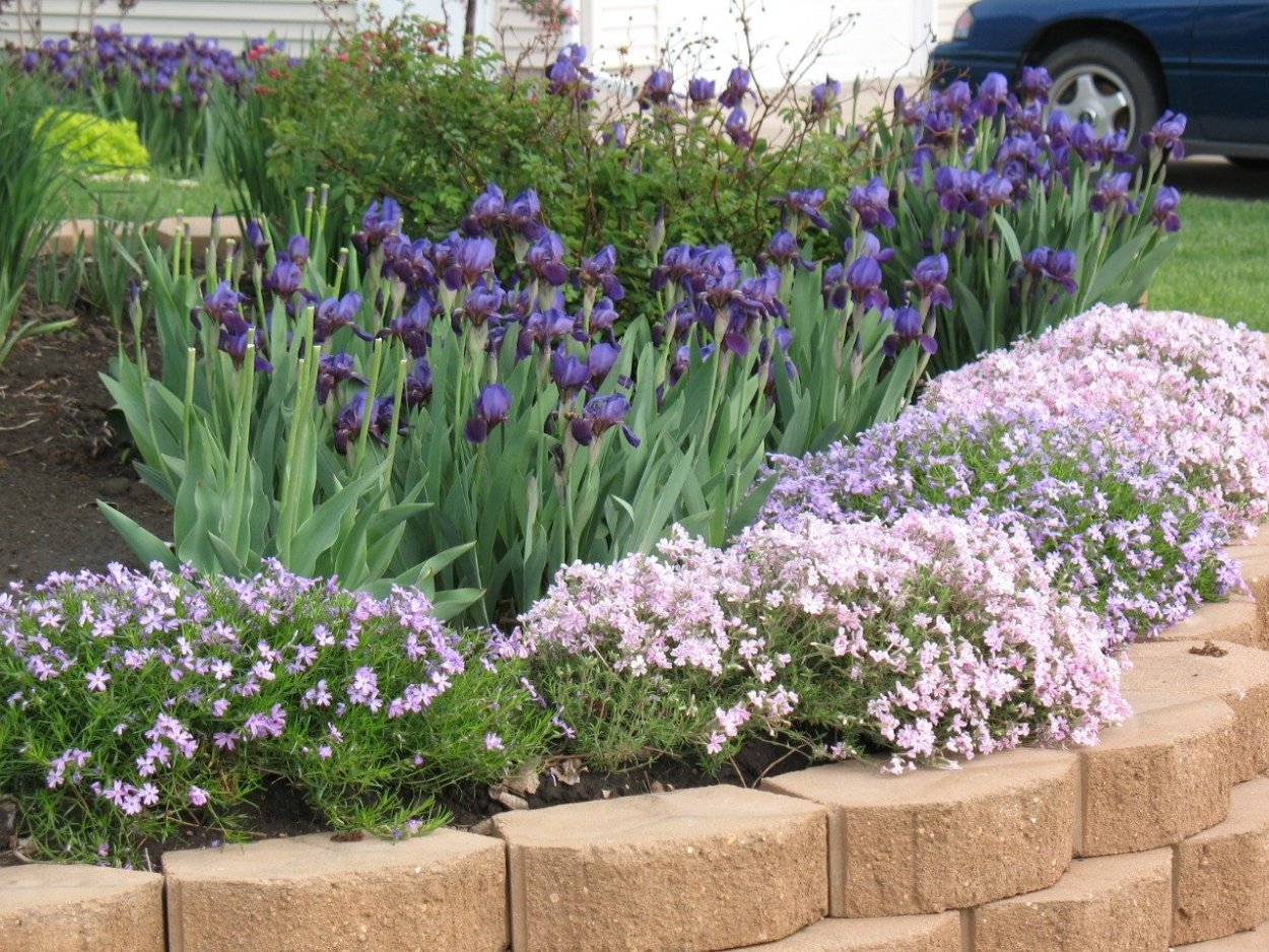 Клумба вдоль веранды