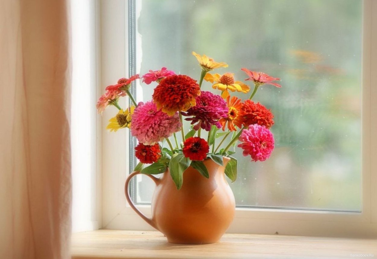Осенние цветы на подоконнике