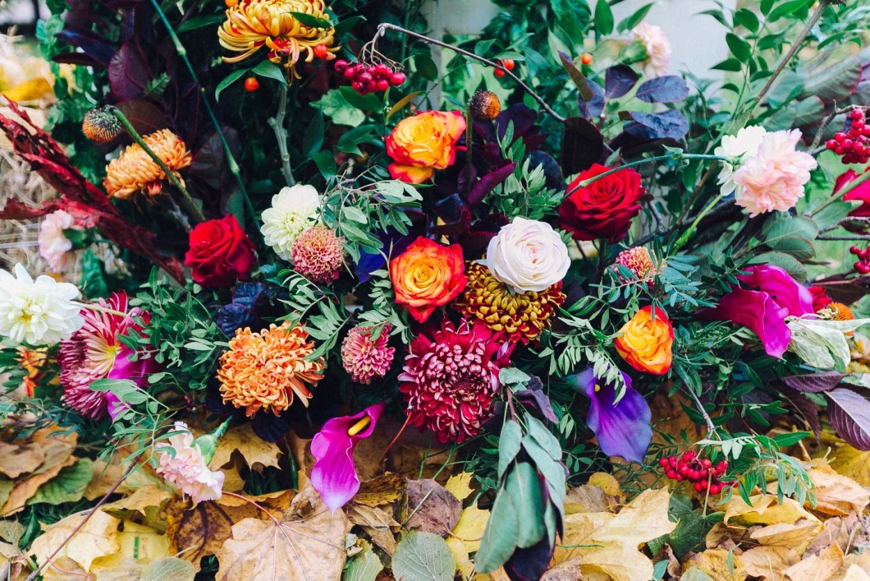 Поздние осенние цветы