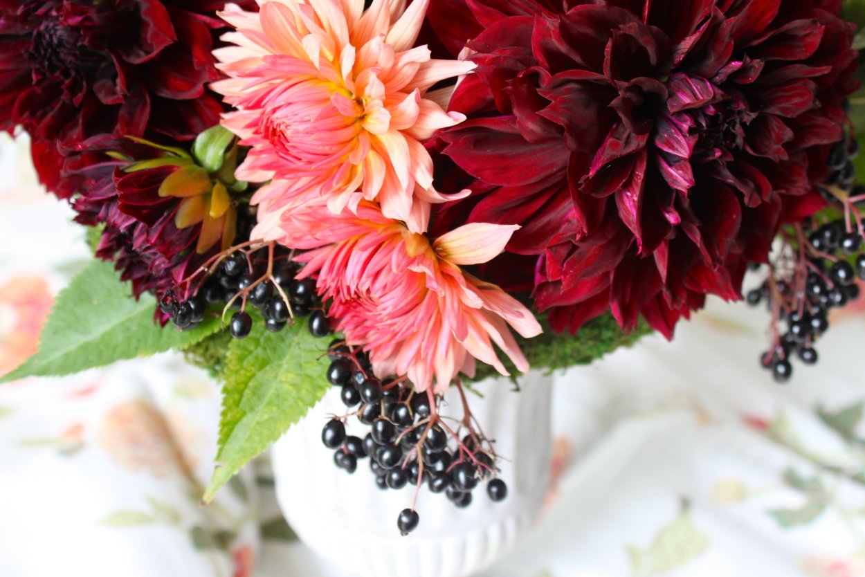 Осенние цветы