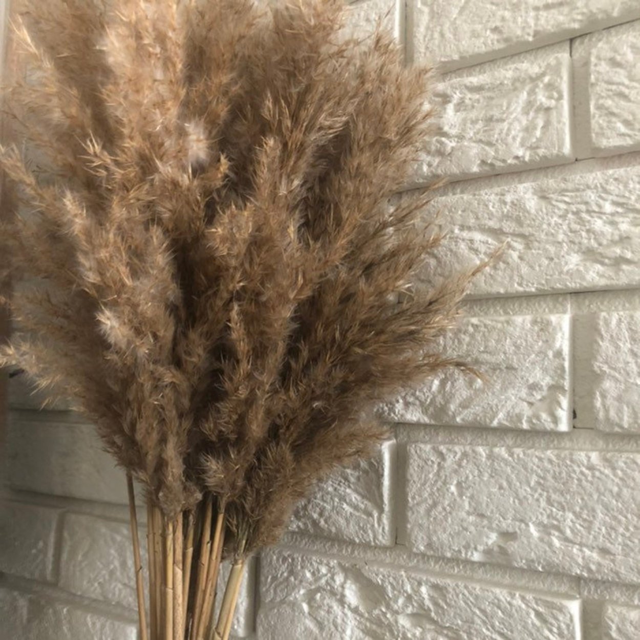 Декор из камыша