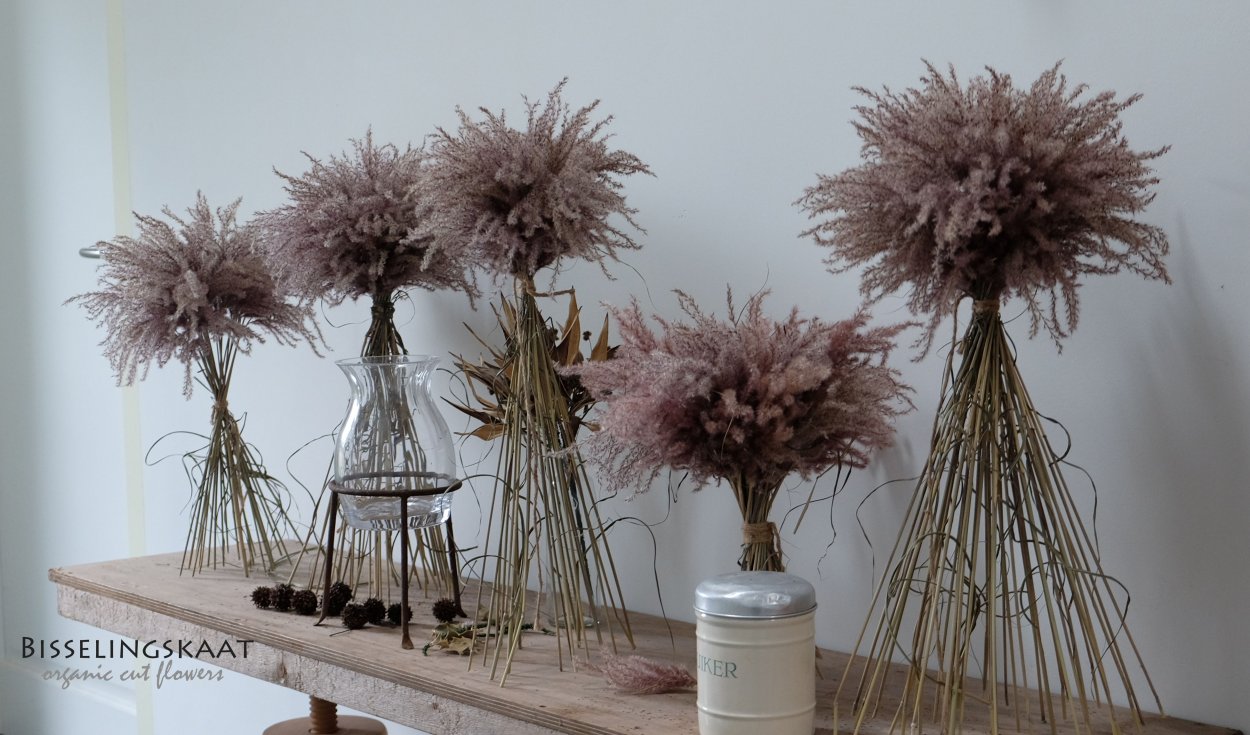 Сухоцветы Сканди стиль