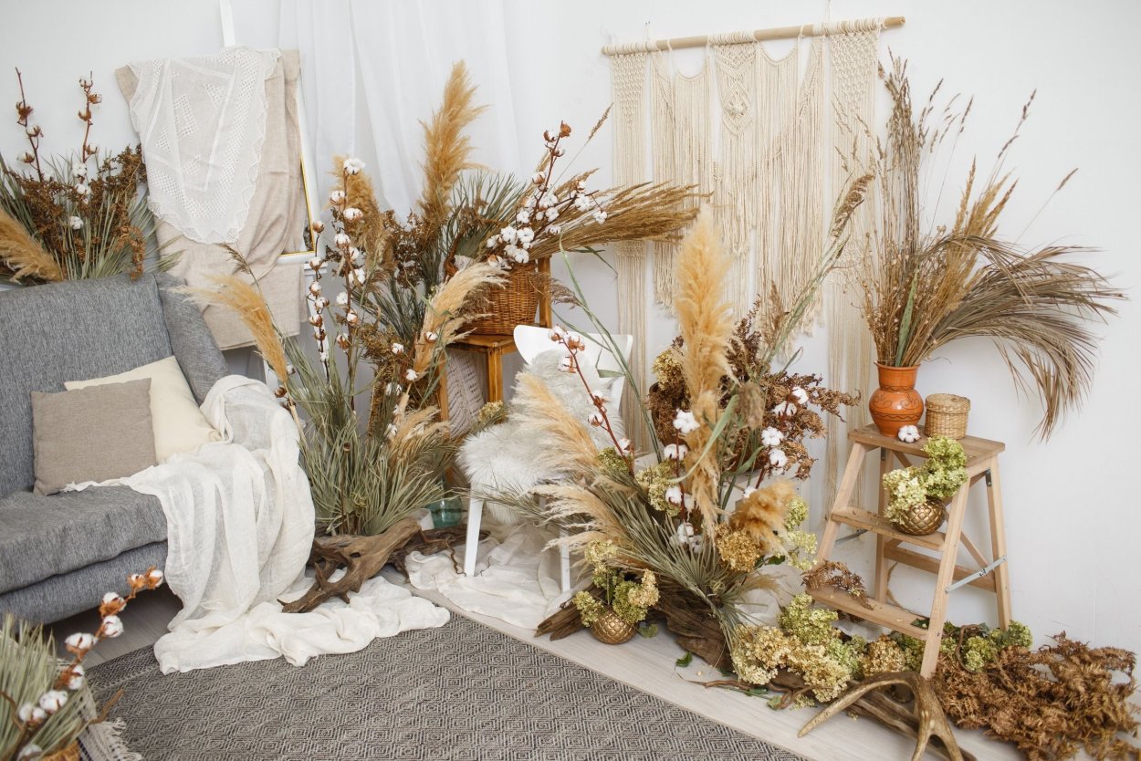 Кортадерия сухоцвет