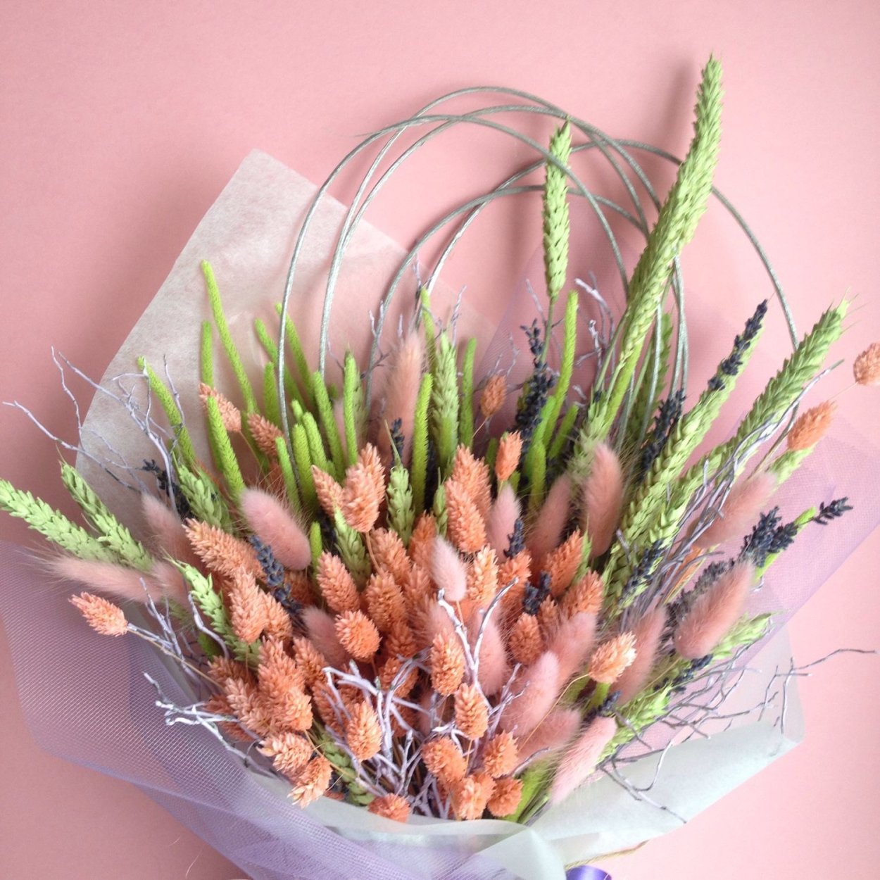 Пампасная трава cухоцвет