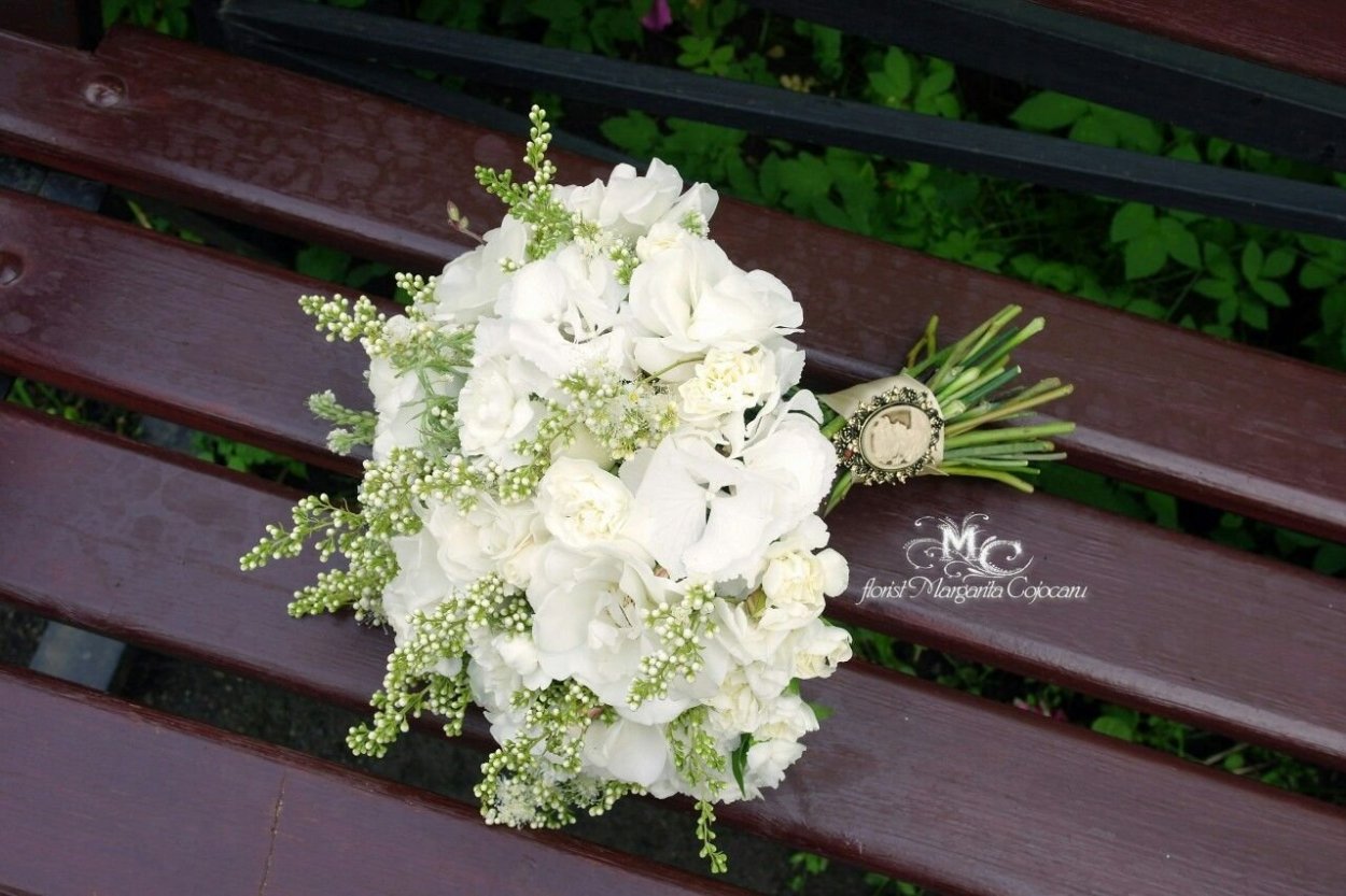 Гортензия метельчатая розовая