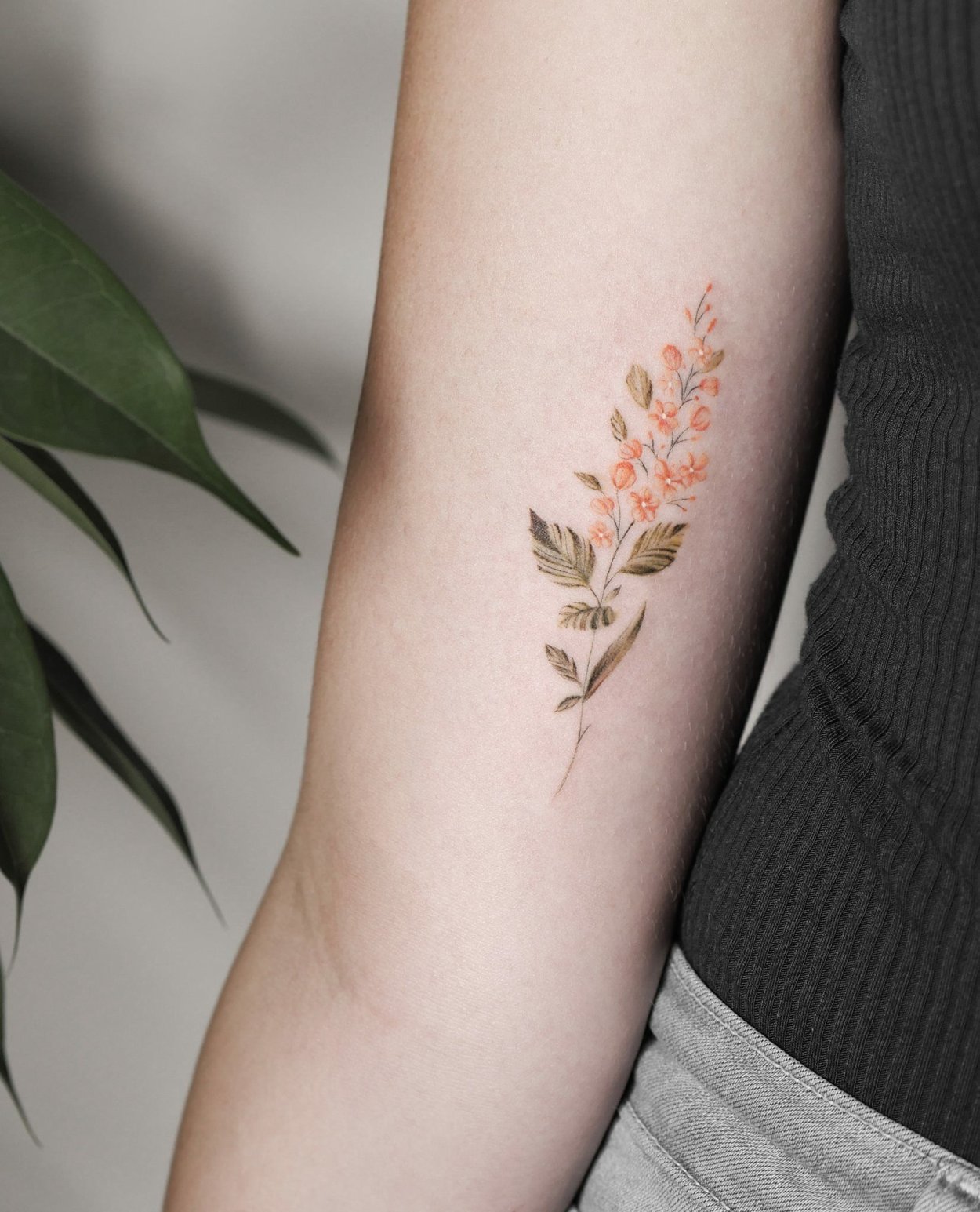 Резеда душистая