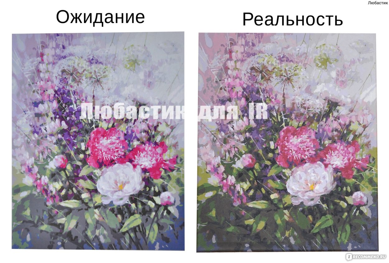Белоснежка пионы и люпины