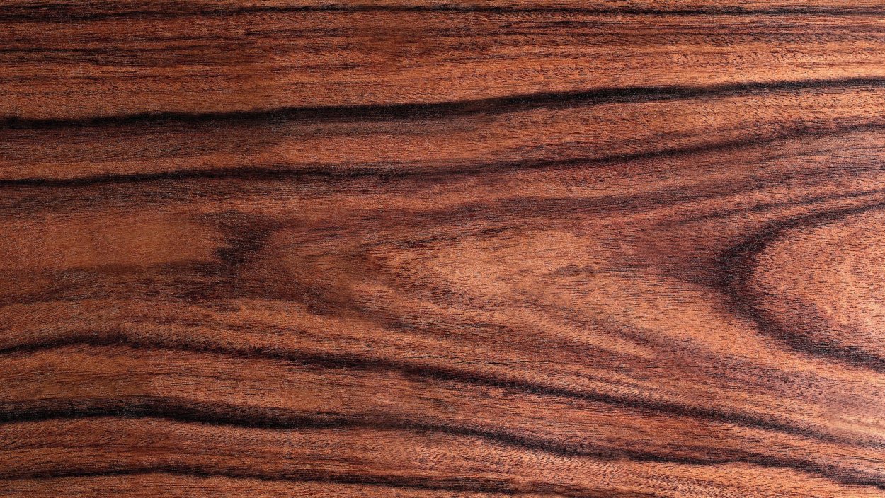 Фиалковое дерево жакаранда