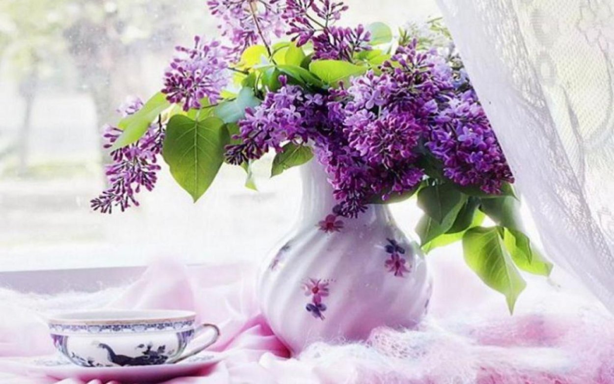 Доброе утро с веткой сирени
