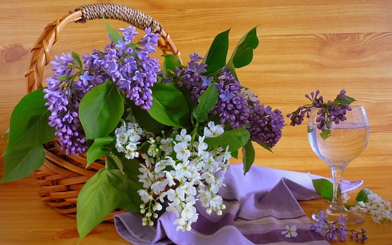 Доброе утро сирень