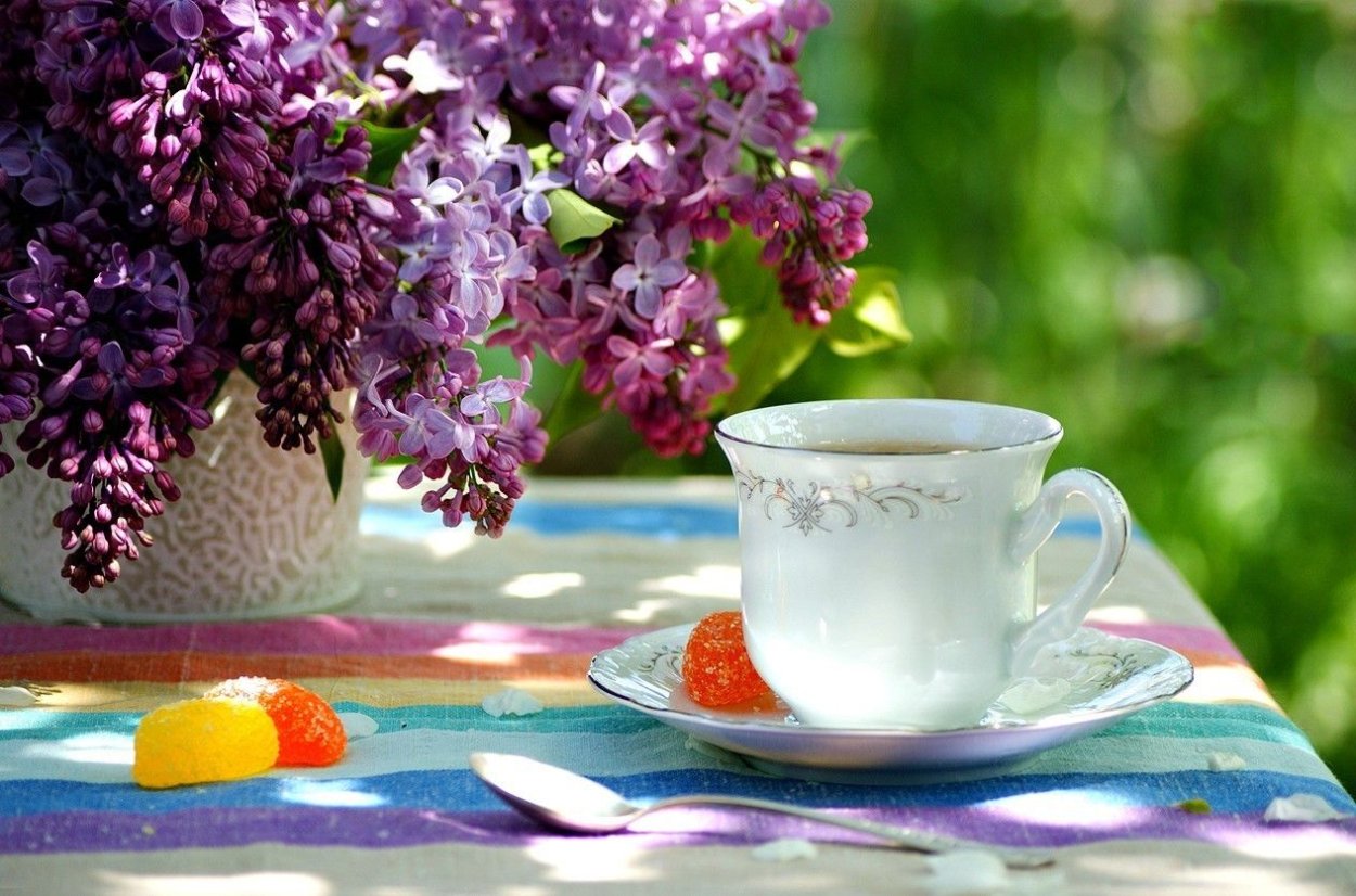 Утренние композиции с цветами