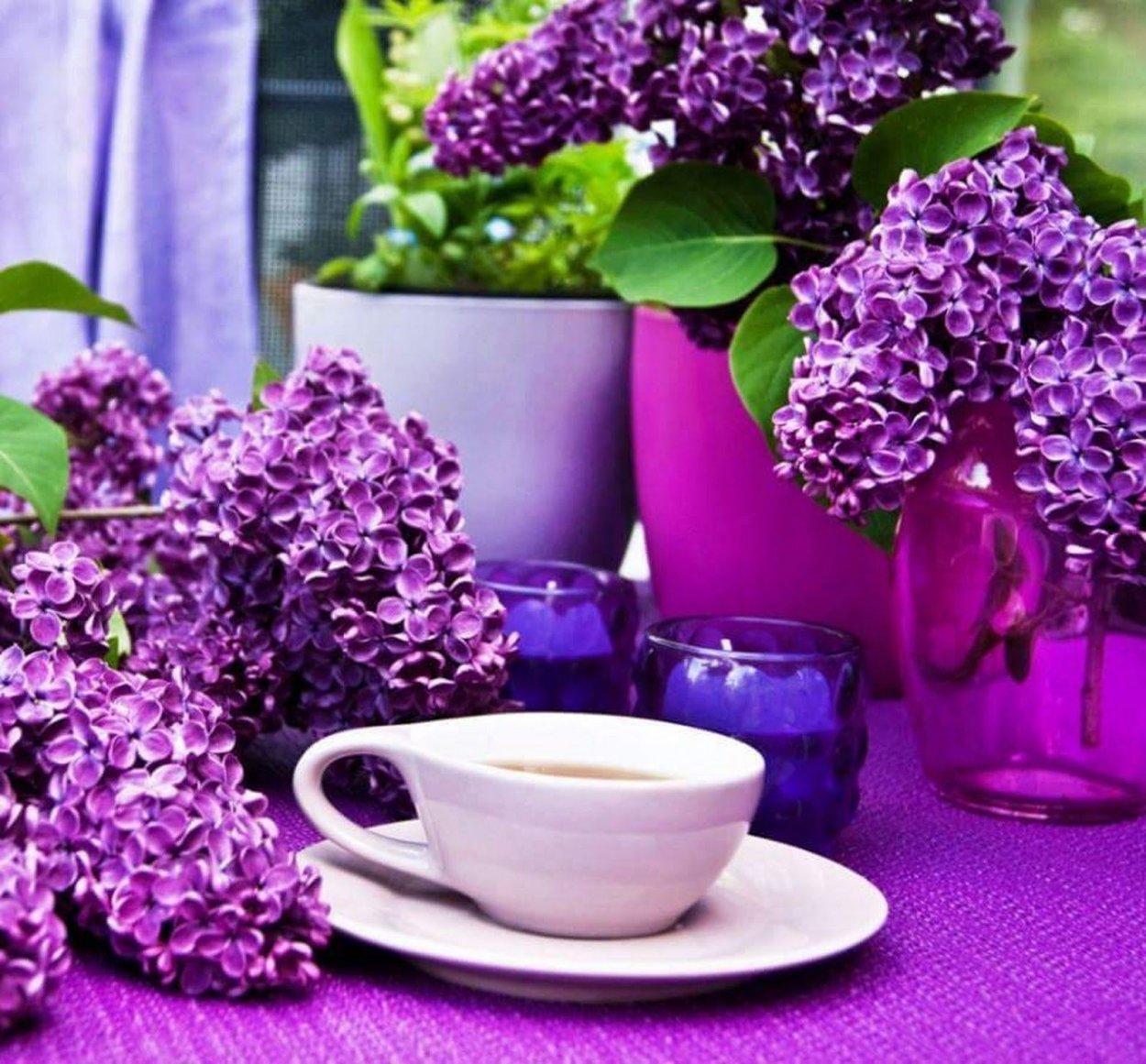 Чаепитие в саду с сиренью