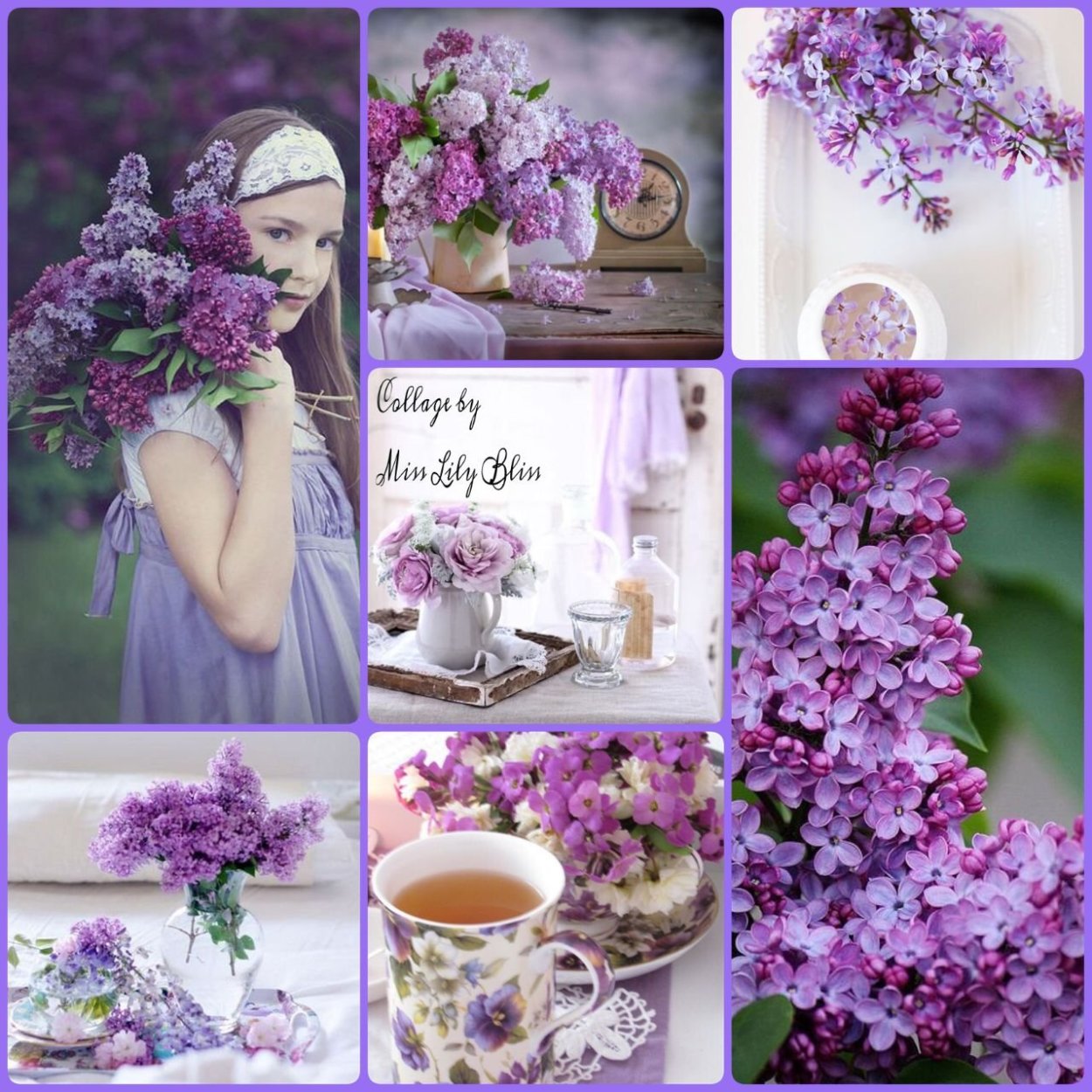 Сирень чаепитие