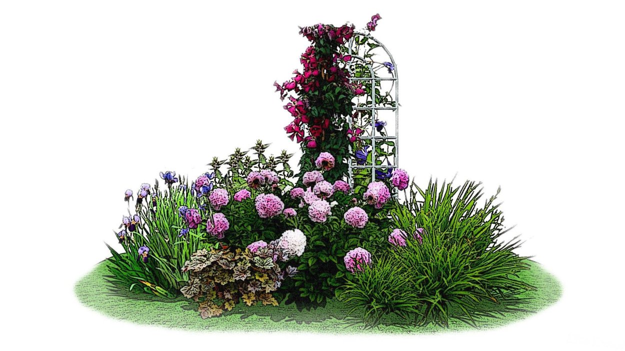 Самая красивая скамейка с розами и лилиями