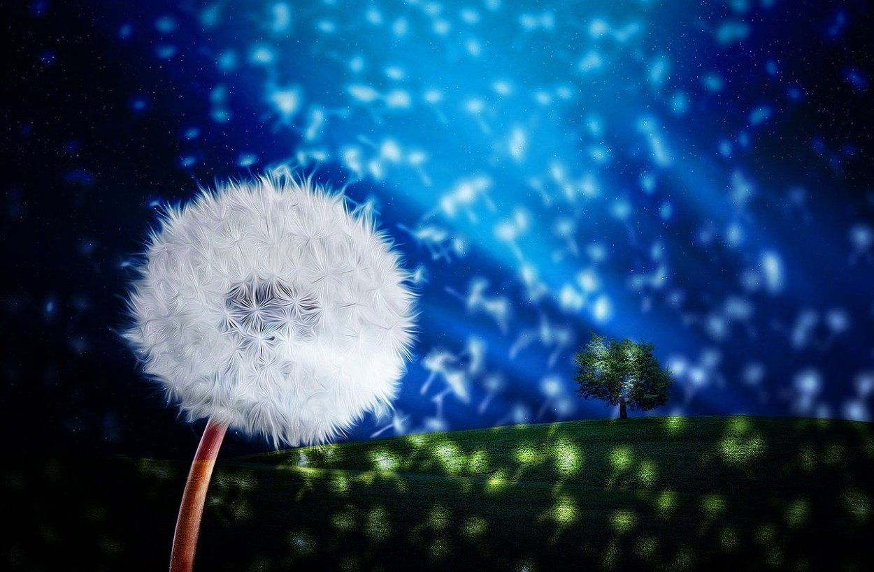 Фэнтези одуванчики