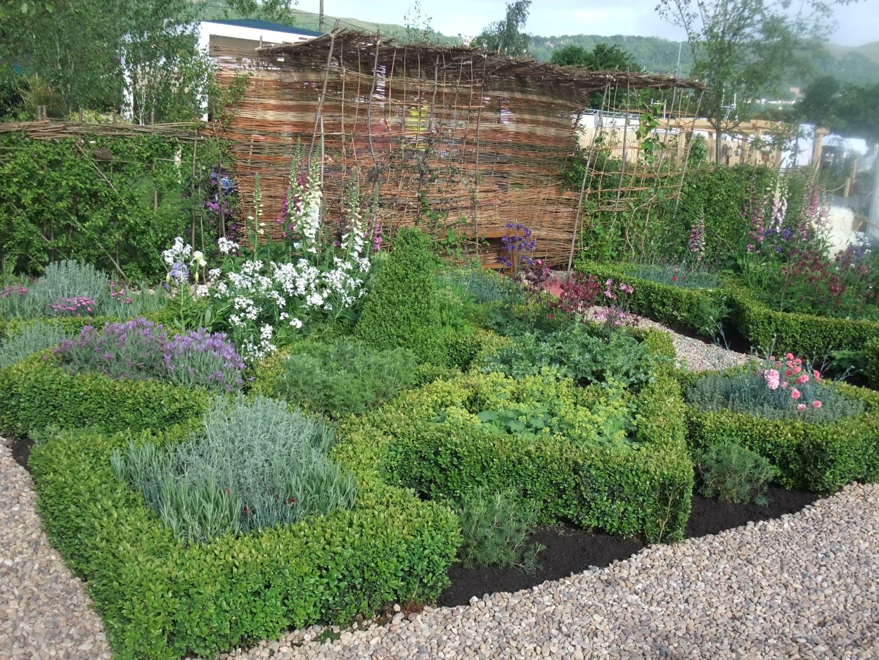 Растения на террасе