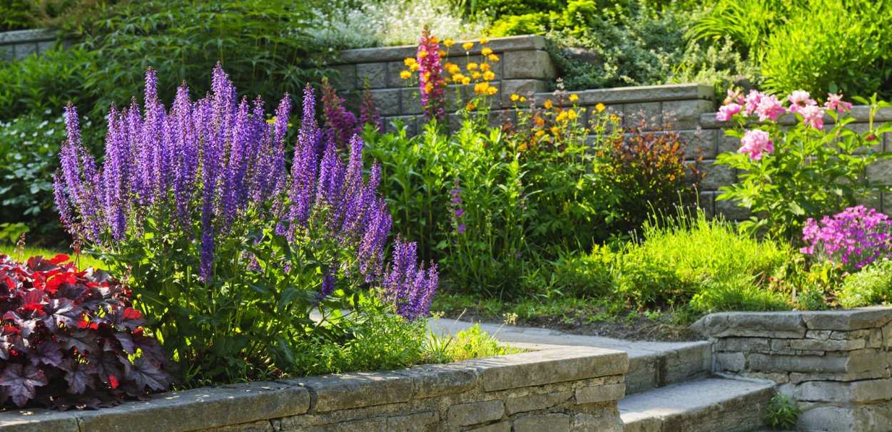 Пряные травы мята и Мелисса