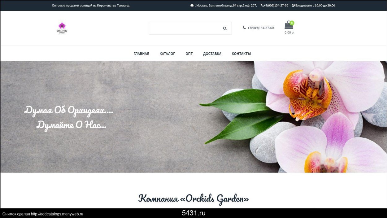 Фаленопсис Мираж