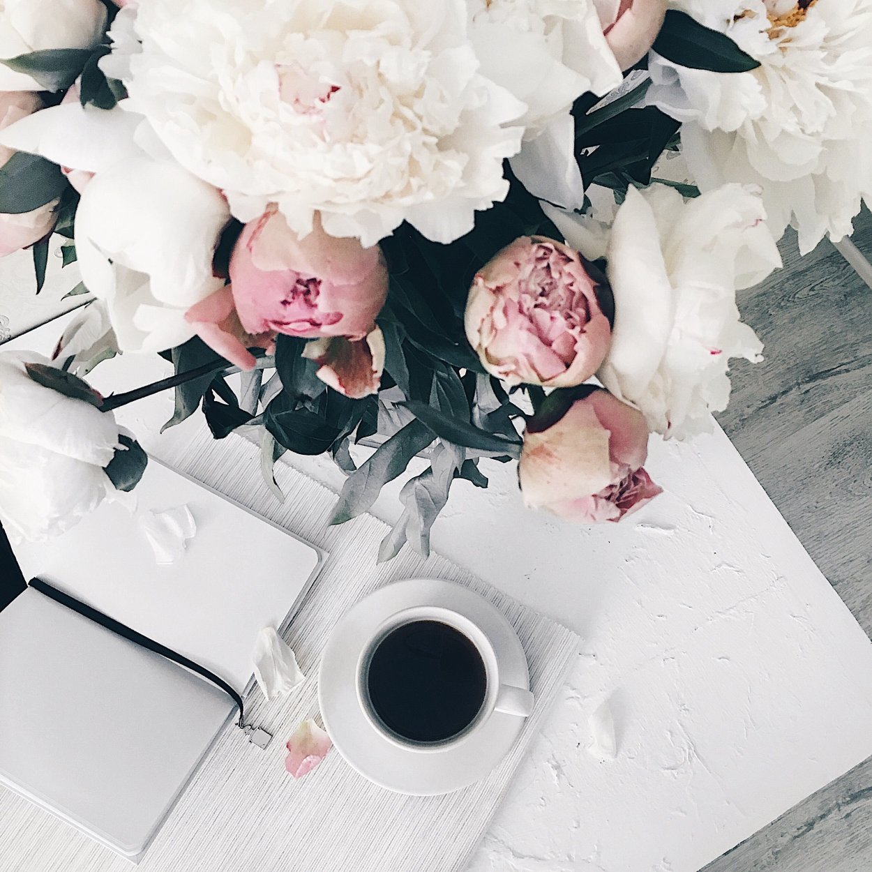 Дерево цветущее ранней весной