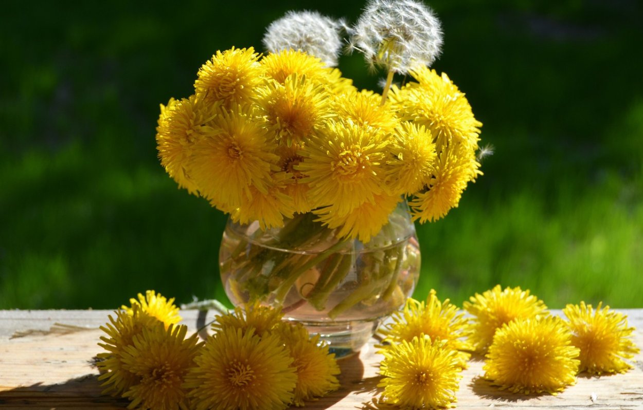 Букет из одуванчиков