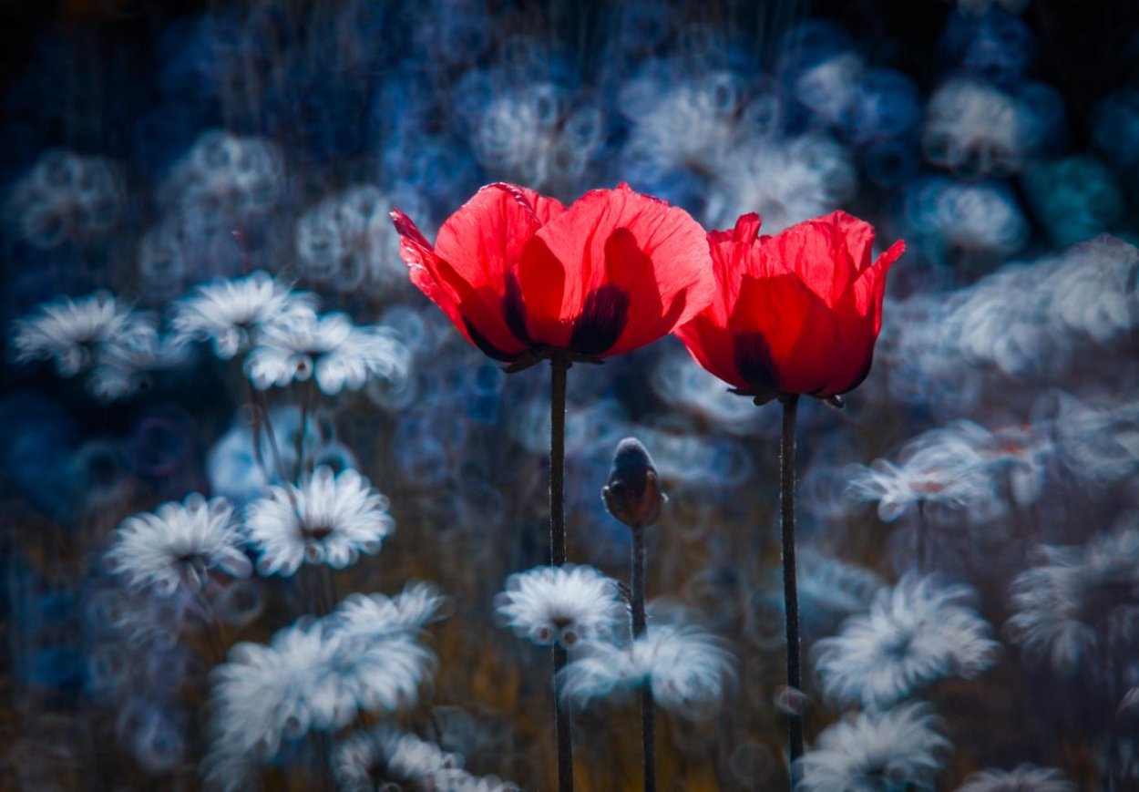Синие цветы для декупажа