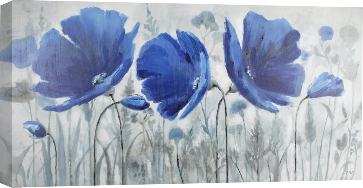 Василек, Мак, Вьюнок