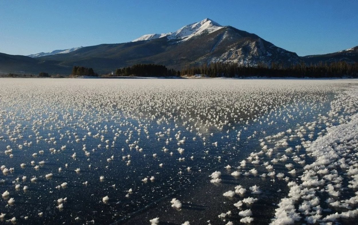 Ледяные цветы Арктики
