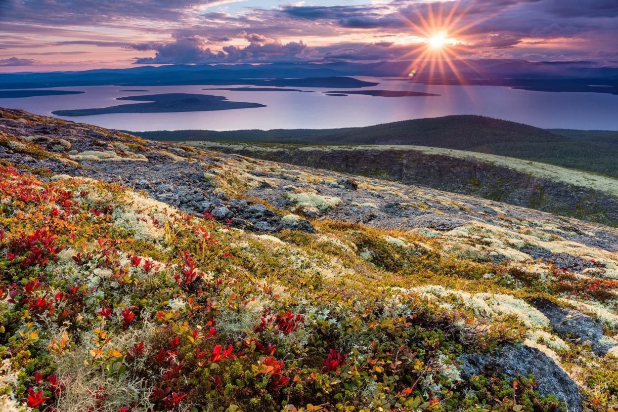 Остров Врангеля природа