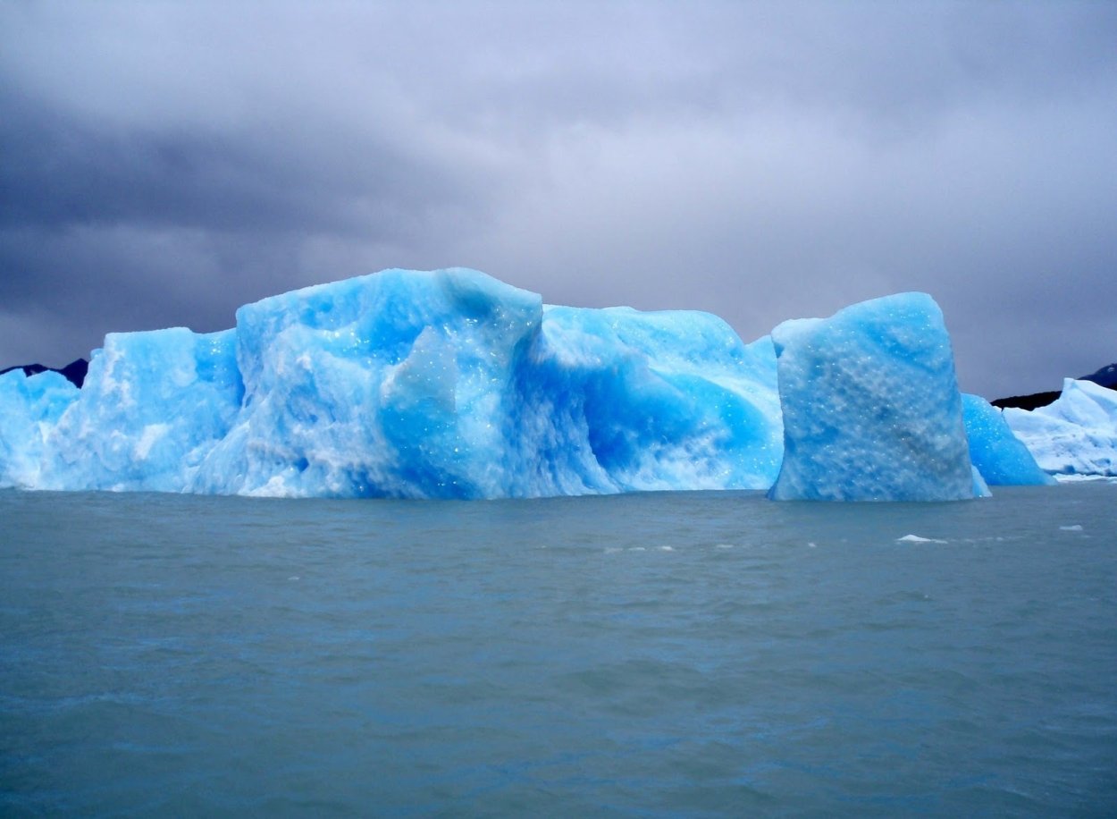 Фукус в Северном Ледовитом океане