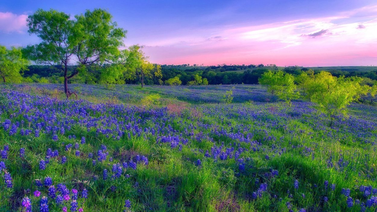 Палусские Луга