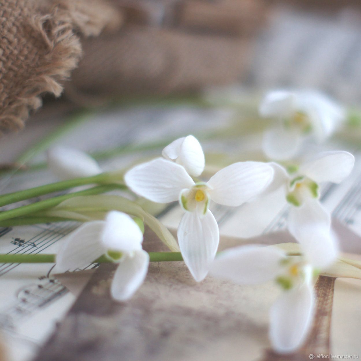 Корзинка с подснежниками