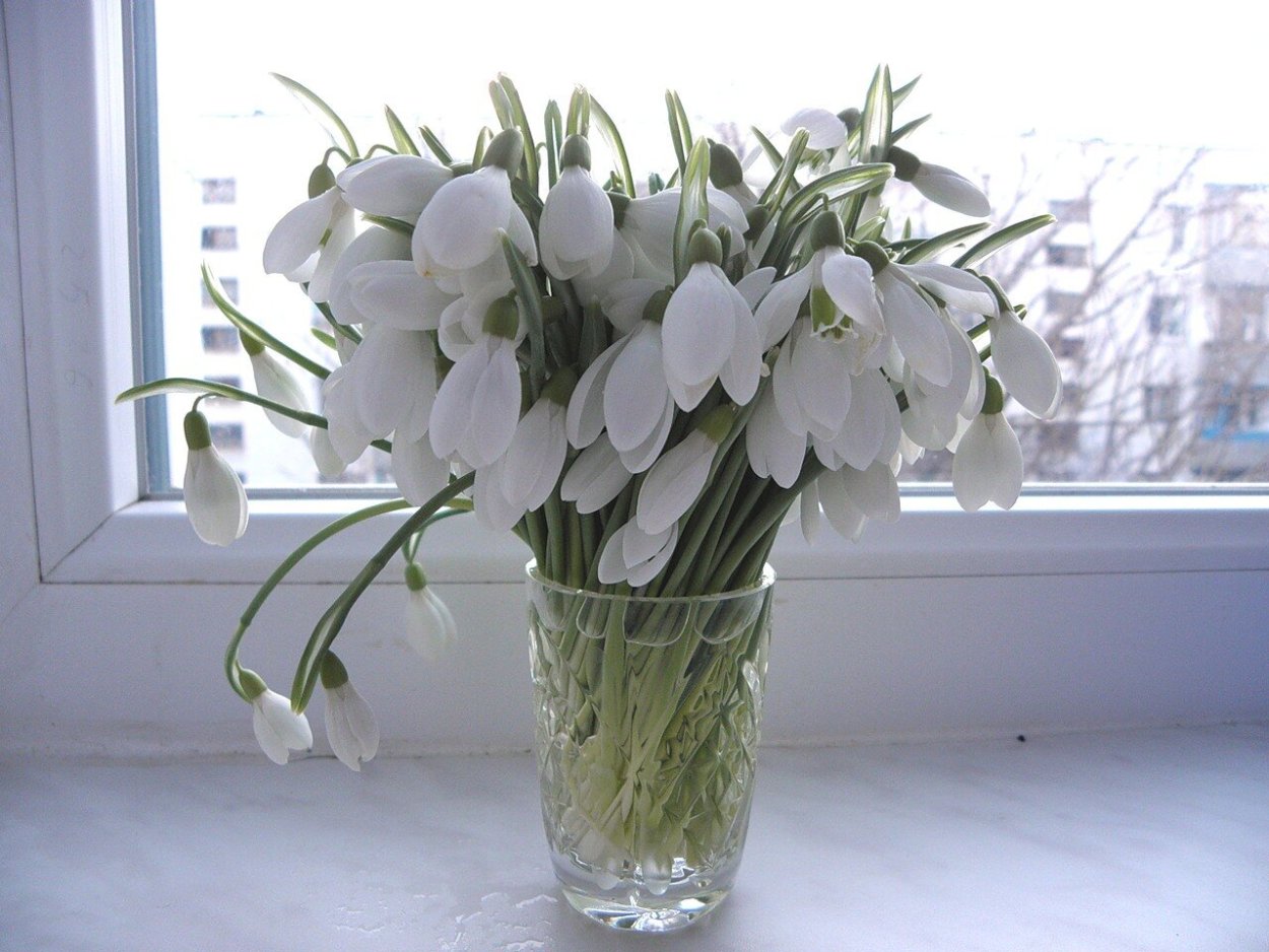 Подснежники в корзине