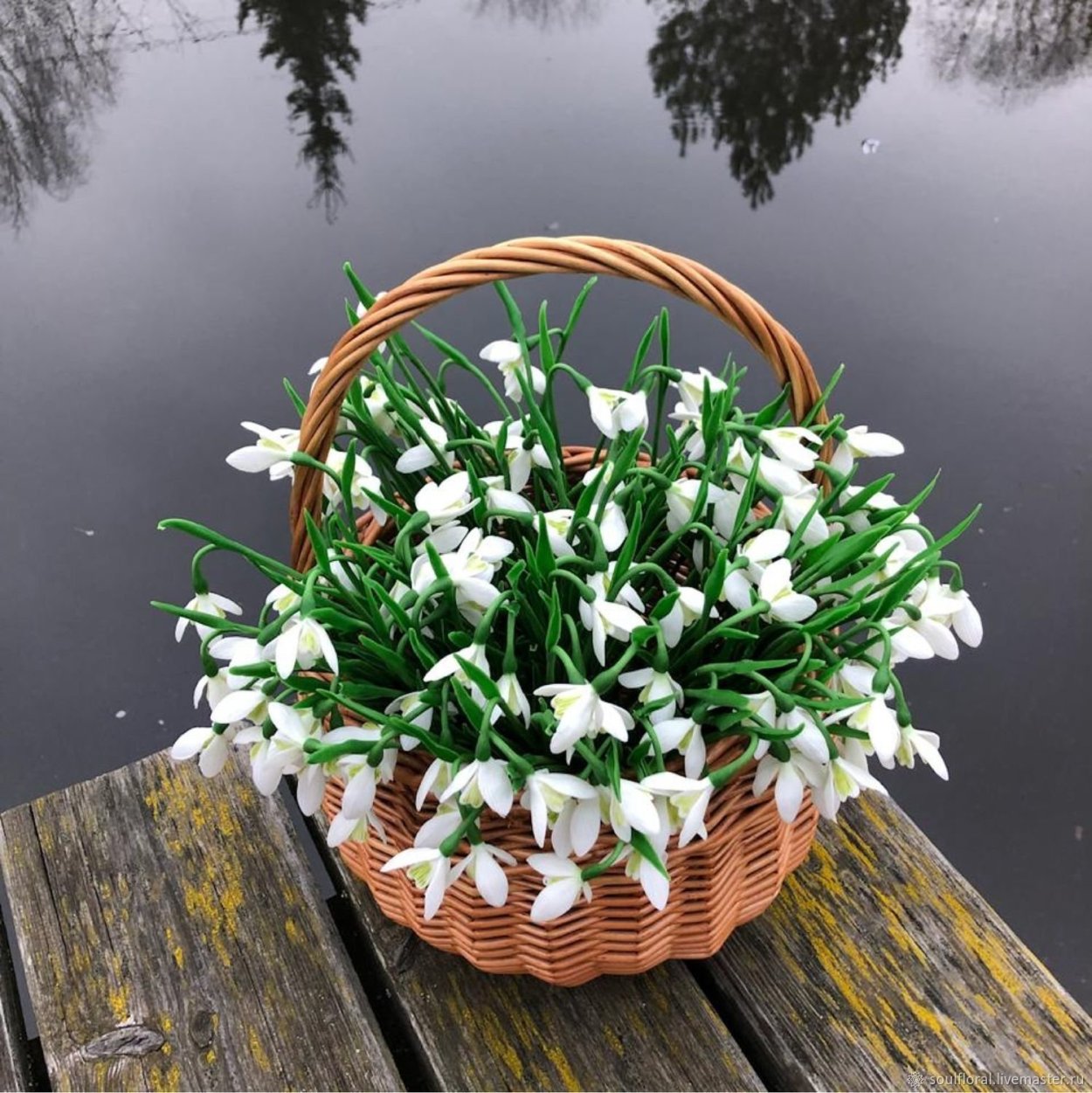 Терра Фьорри подснежники