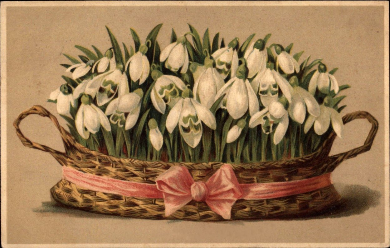 Букет пролески и подснежники